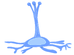Icon for A Story of Cells: A Geography of Sorts