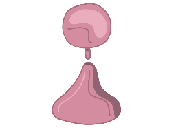 Icon for Shaping Behaviour